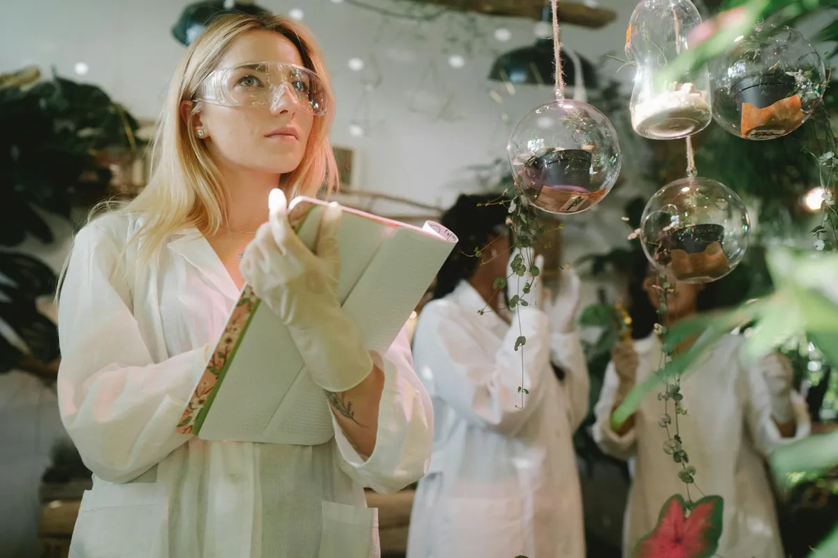 Campo agrícola ao entardecer com pesquisadora anotando dados