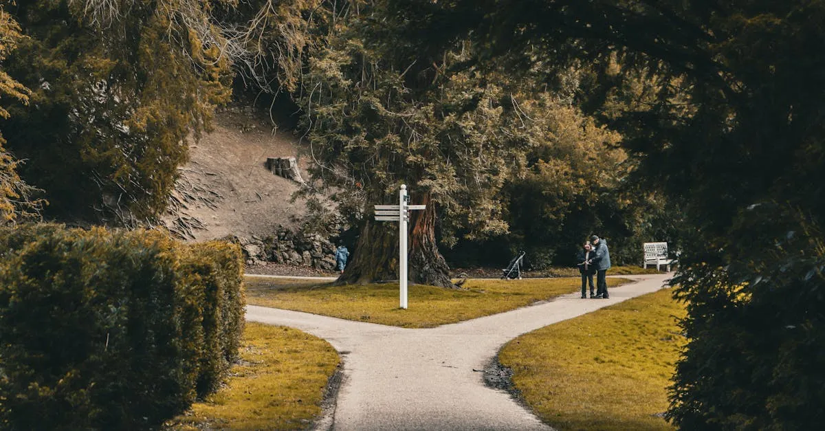 Dois caminhos em uma bifurcação num parque arborizado