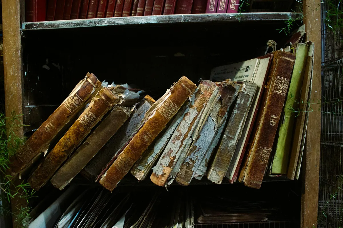 Prateleira com dissertações encadernadas em biblioteca universitária, pó acumulado nas lombadas