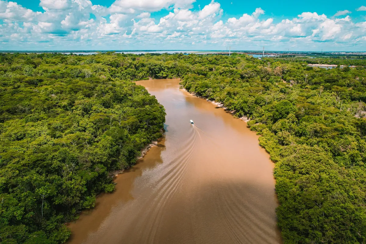 Vista aérea da floresta amazônica com rio e cidade ao fundo, representando a região Norte do Brasil
